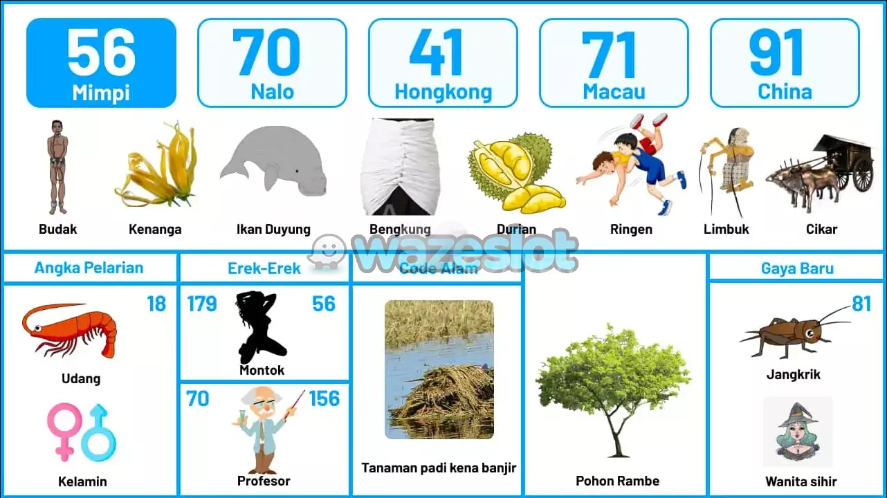 buku mimpi erek erek togel 56